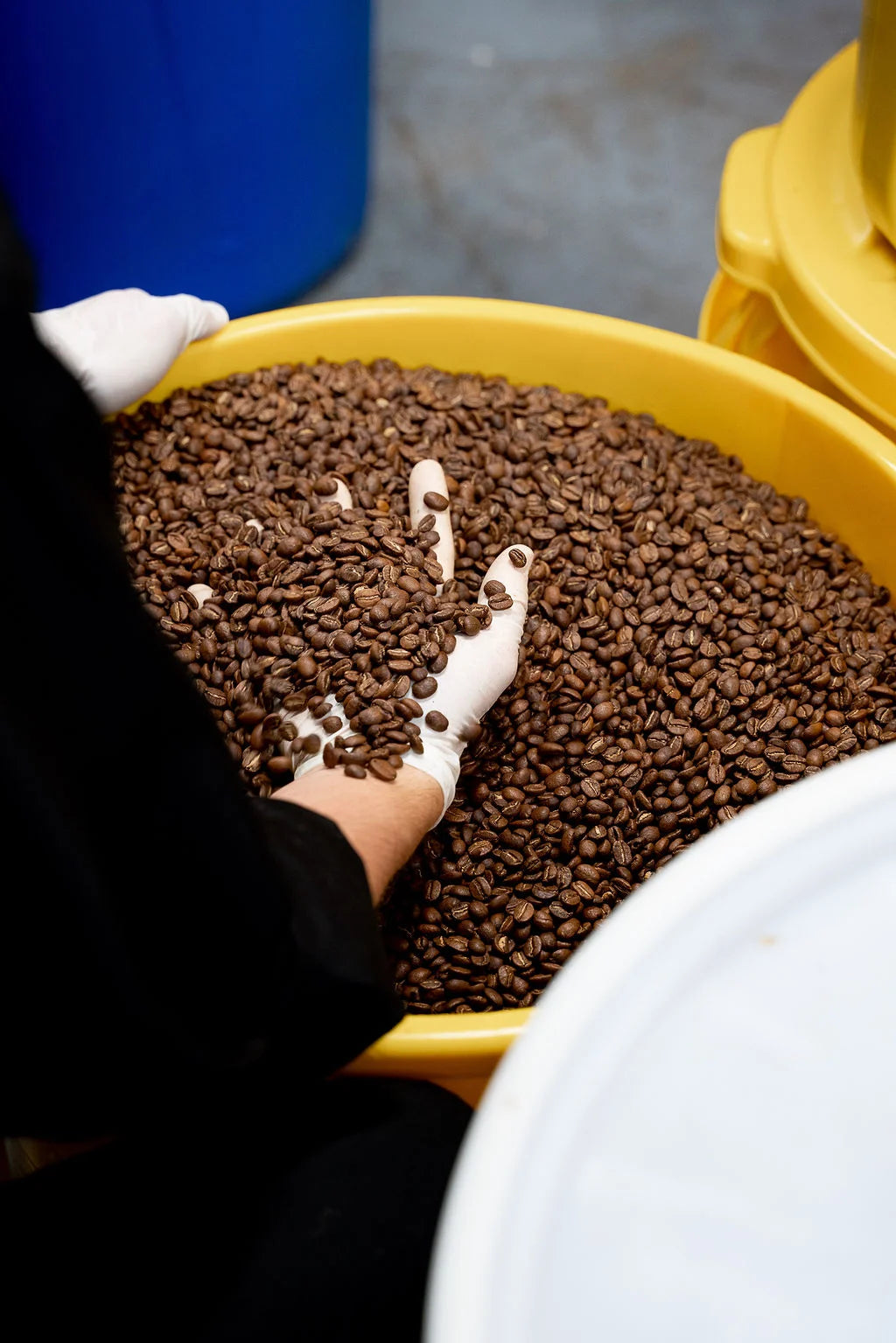 BRAZIL FAZENDA PANTANO Wholesale (250g)
